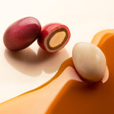 chocolate covered almonds