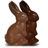 Chocolate Easter Bunny