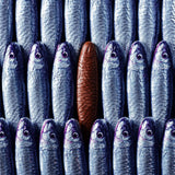 chocolate sardines