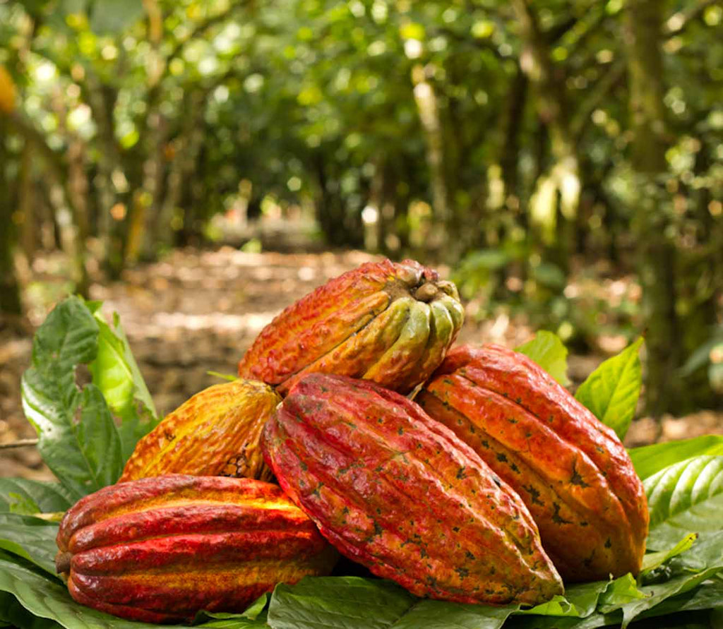 What Are Flavonoids — and Do They Protect Against Disease?