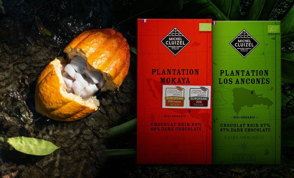 Cluizel's Bean-To-Bar Process