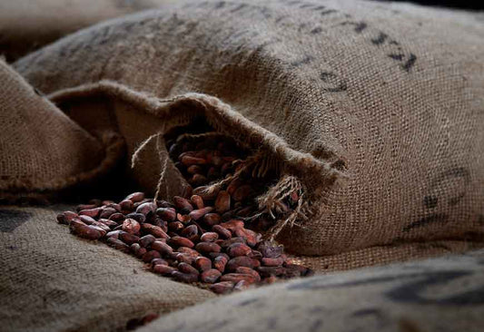 Cluizel Cocoa Beans