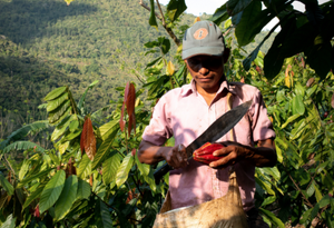 How Sustainability & Plant-Based Demand Are Reshaping Chocolate