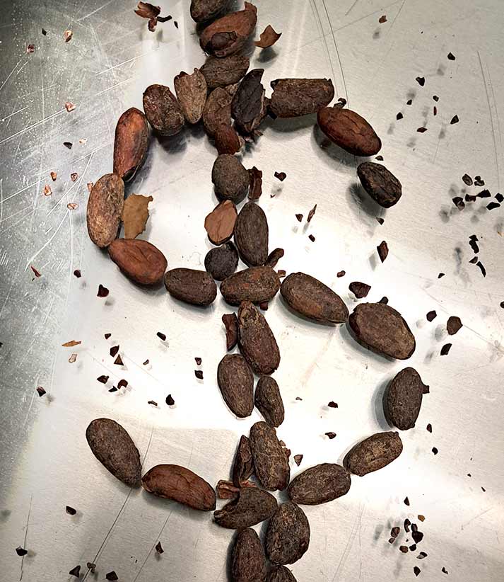 cocoa bean price hike