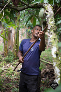 Sustainability, Fair Trade & Recycling in Action