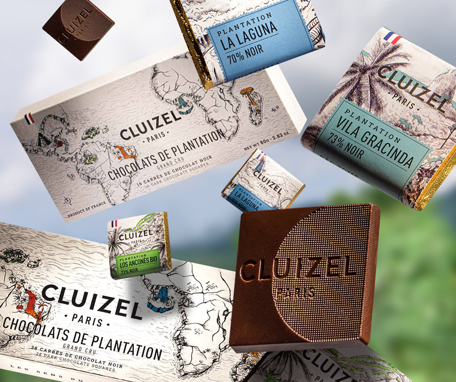 The Sensorial Experience: Discover Single Estate Chocolate Like Fine Wine