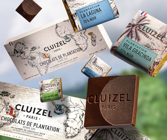 The Sensorial Experience: Discover Single Estate Chocolate Like Fine Wine