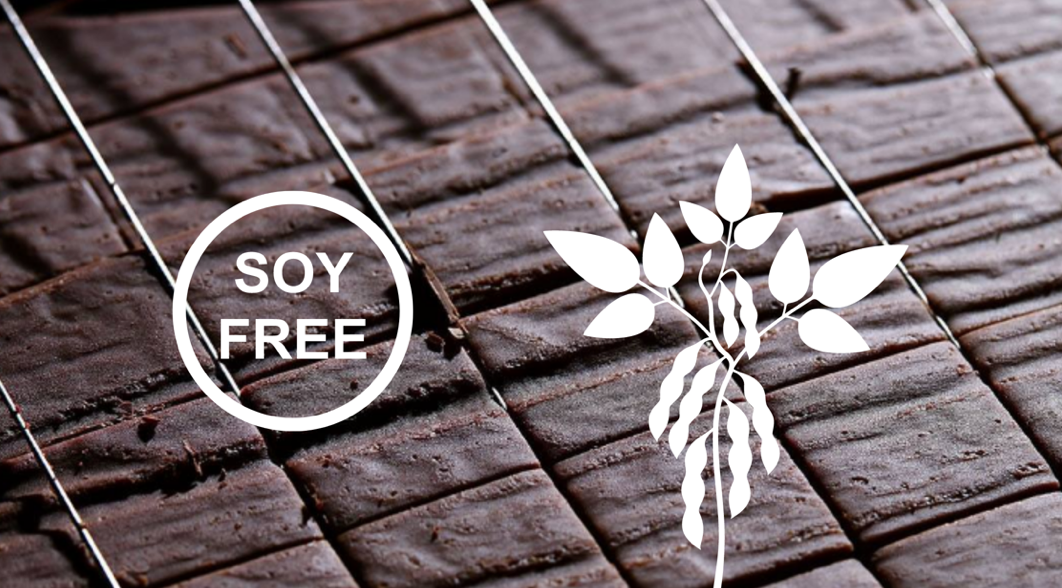 soy free chocolate