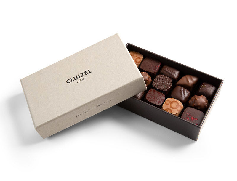 Chocolate Gift Box, 15 Milk & Dark – Chocolat Michel Cluizel