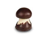 chocolate mushrooms