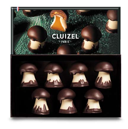 Chocolate mushrooms
